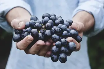 Ilustracja do wpisu 'Dietetyk pomoże Ci nie tylko w odchudzaniu'