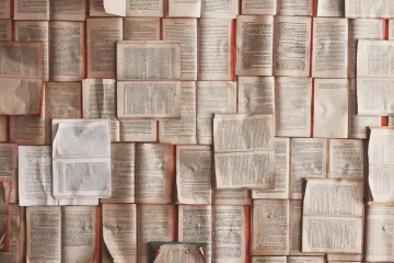 To know and face functional illiteracy — zdjęcie 1